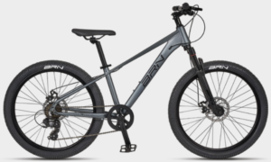 BRN MTB YOUNG 24"